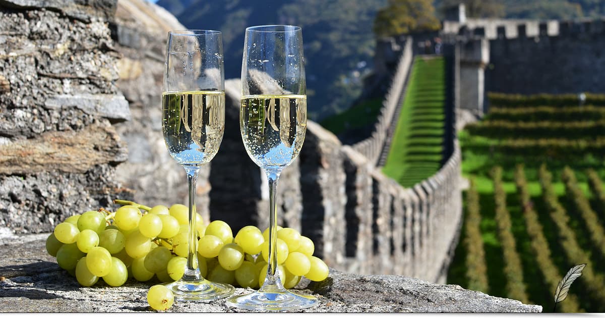 Joyeuses fêtes de fin d'année | Newsletter du 20 décembre 2021