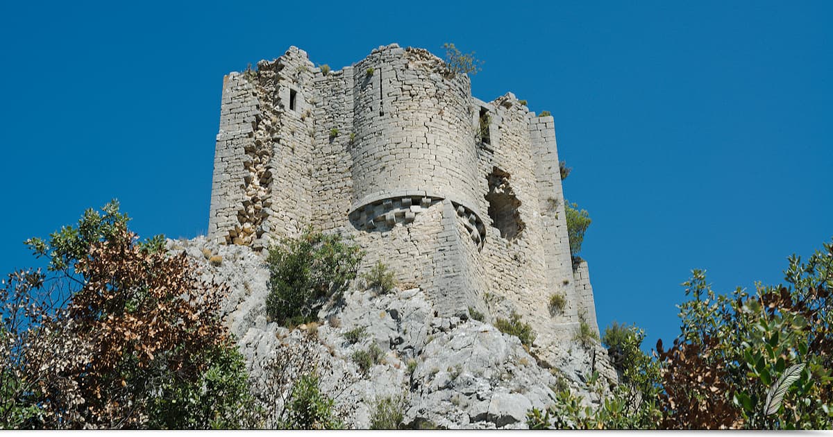 Newsletter #Terressens du 15 juin 2020