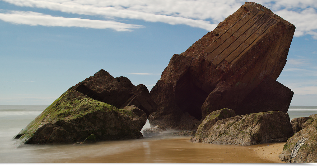 Newsletter #Terressens du 23 juillet 2020